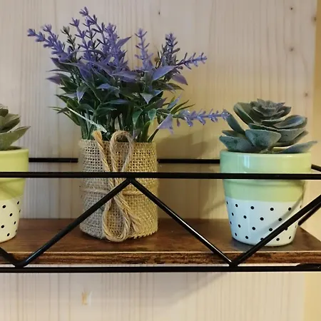 Alle Volte 30 Daire Grumo Appula